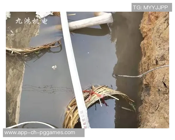 pg电子维护后会放水吗-PG电子维护后是否会出现放水现象，深入了解与分析-pg电子维护后会放水吗